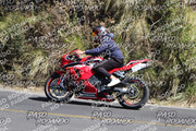 IMG-1370