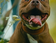 Screenshot_20230627_235012_Gallery