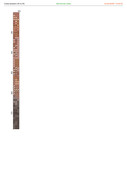 2882121-crosti-ru-color-37