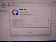 Goodsync  Activatie 2