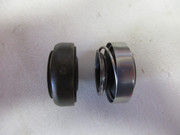 IMG-4817.jpg