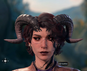 Nevari (Head - Front)