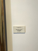 IMG-7986