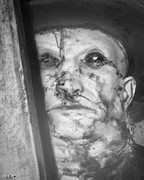 singlebungle1472-20221202-221248-004