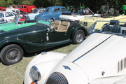 IMG-4655.jpg