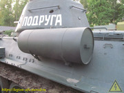 IMG-5611