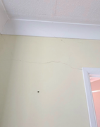 Screenshot-2026-03-11-at-13-46-23