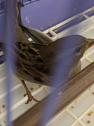 photo_2022-10-10_23-09-01