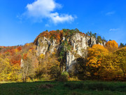 PXL_20211024_144842163.PORTRAIT