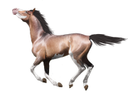 69F4ED7F-CD4C-4CB5-9269-55349B9170C3