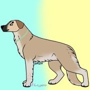 https://www.deviantart.com/fierfairy42/art/Free-German-Shepherd-Male-and-Female-Base-PSD-880572990