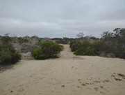 IMG-20260617-100132212