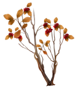 BC-ATaste-Of-Winter-El-7