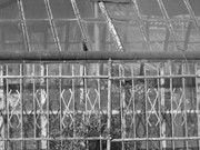 ADP Free party Balscha 2009 045