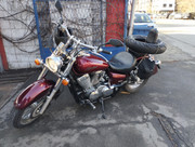 IMG-20250213-145013.jpg