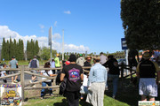 IMG-5775