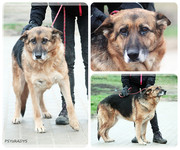 Be-Funky-collage-28.jpg&key=768fad5848bf