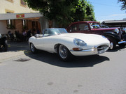 IMG-1460.jpg