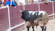 IMG-0094