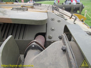 IMG-6603