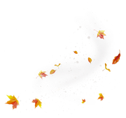 Pumpkinfairykitpudnspakles