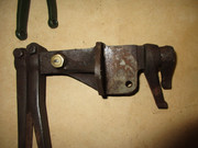 IMG-6448.jpg
