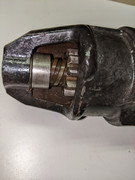 PXL-20261009-150240168.jpg