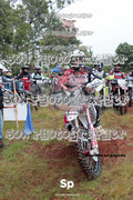 IMG-0031