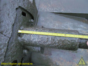 IMG-9600