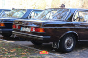 IMG-7446