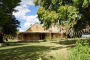 DSC05950
