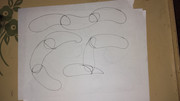 IMG-20240305-151116817