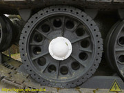 DSCN5066