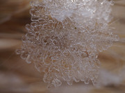 DSC01228-crop