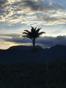 IMG-8298