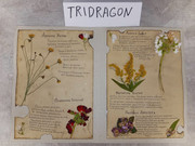 IMG_20250817_212837_025