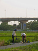 photo 10 2025 12 14 21 56 06