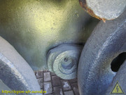 IMG-5446