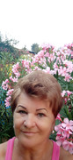 https://i.postimg.cc/23MFkdpq/IMG-20230815-191828.jpg