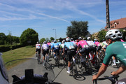 IMG-8603