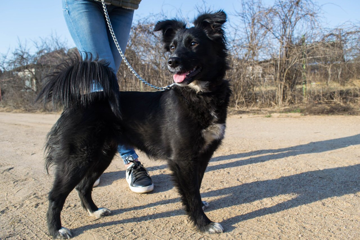 457B51F1-1F4C-4D6D-8A9D-1A5B7D3F74CF