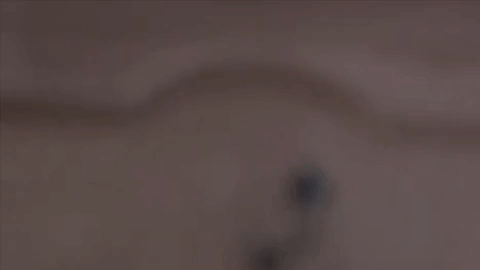 giphy-46.gif