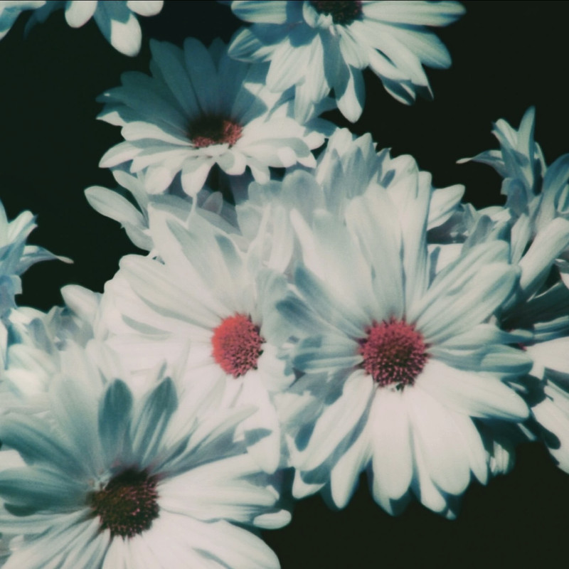 09BD2DB5-E9A6-4257-92A7-8E13B7E48EB4