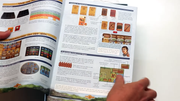 Odin-Dutch-rulebook-screenshot-(3)