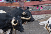 IMG-0018