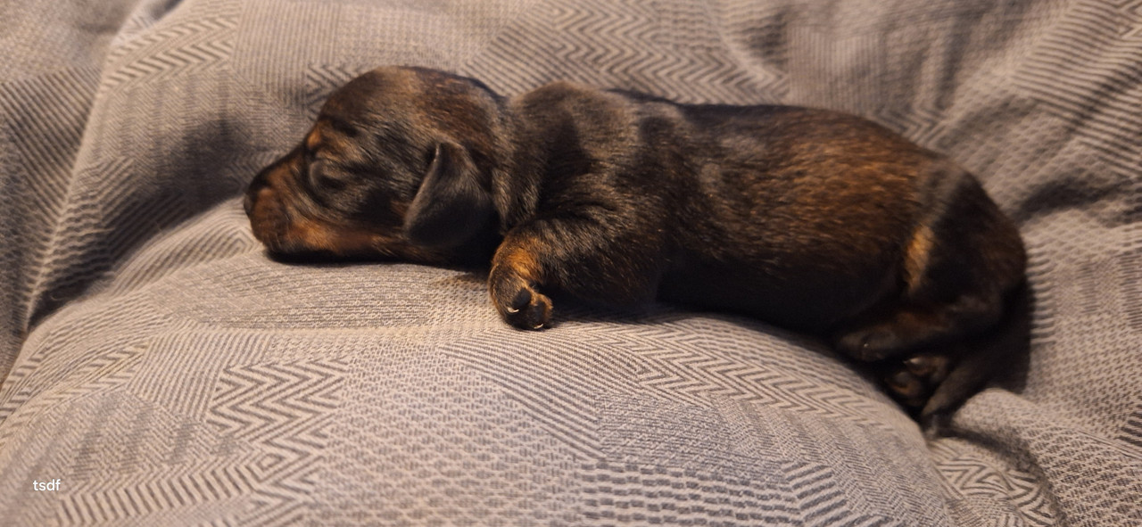 [Image: 20250423-195624.jpg]