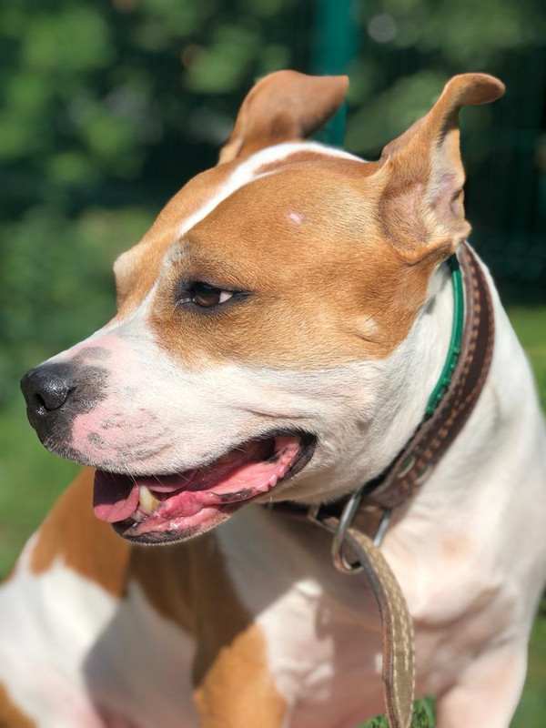 CCD8673A-1E9A-42E7-A019-2DFD69D3F0F6