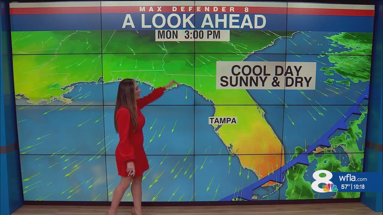 NewsChannel 8 News at 1000pm_20241130_03000330.ts_snapshot_19.19.923