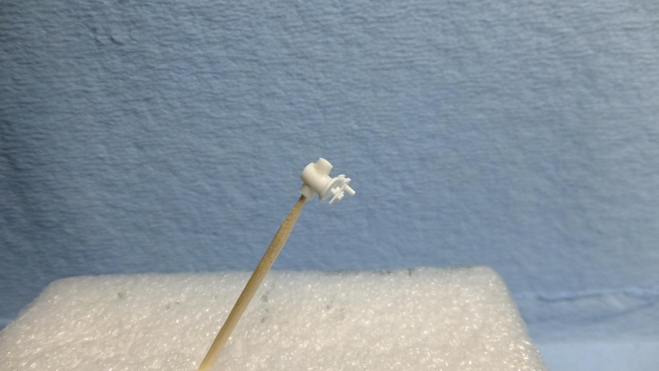 DSCF9879.JPG.a951960be7d3eefe2ac0923a9bcce184