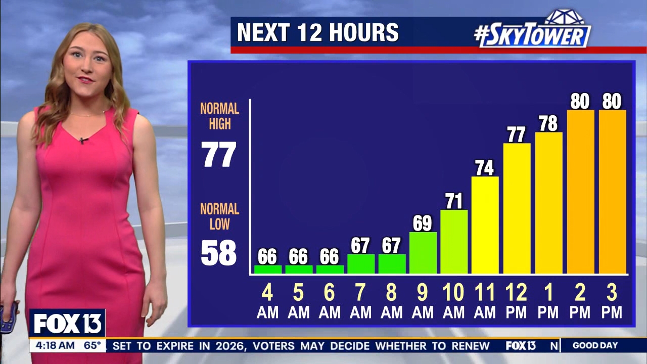 FOX13s Good Day Tampa Bay at 400am_20240307_09000930.ts_snapshot_19.33.420